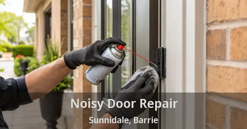 Noisy Door Repair Sunnidale, Barrie - ON