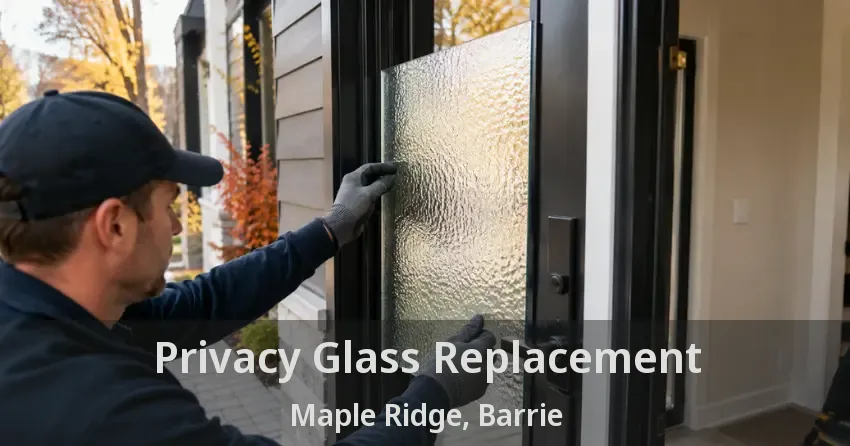 Privacy Glass Replacement Maple Ridge, Barrie - ON